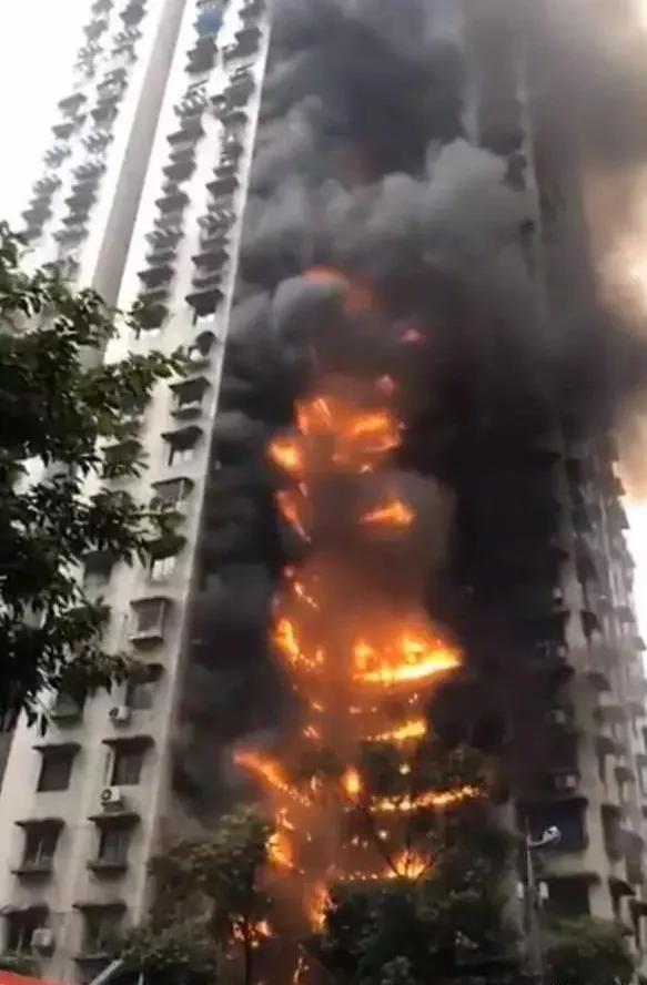 1709274176681294.jpg 181515348408.jpg