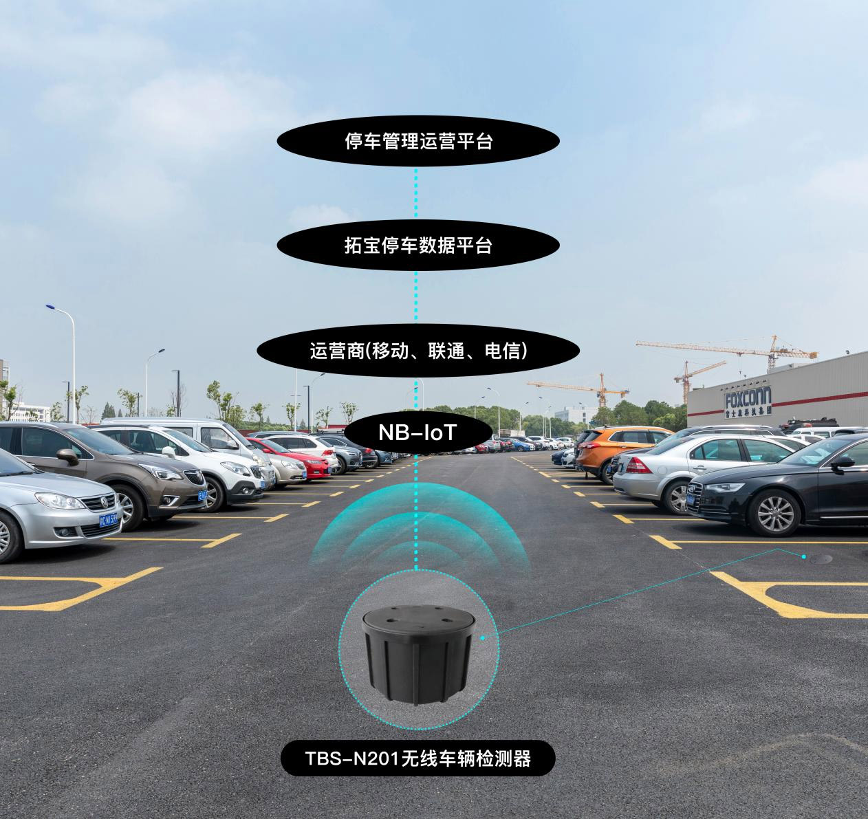 1709543846623161.jpg 301532269351.jpg